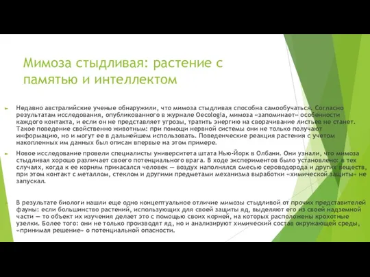 Мимоза стыдливая: растение с памятью и интеллектом Недавно австралийские ученые обнаружили,