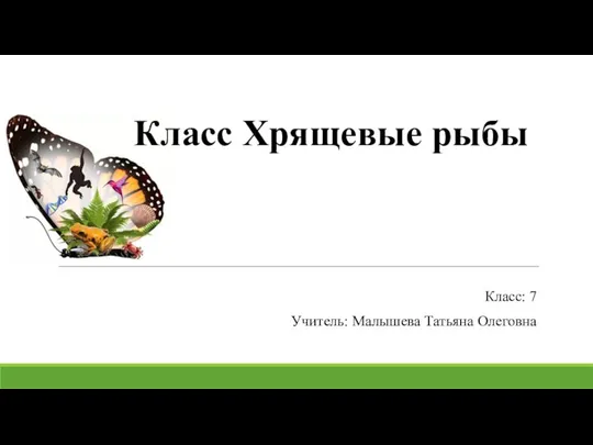 Класс Хрящевые рыбы Класс: 7 Учитель: Малышева Татьяна Олеговна