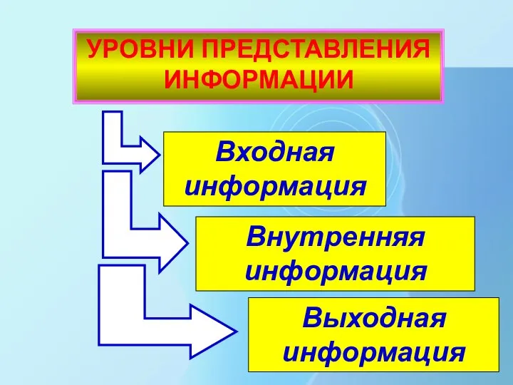 УРОВНИ ПРЕДСТАВЛЕНИЯ ИНФОРМАЦИИ Входная информация Внутренняя информация Выходная информация