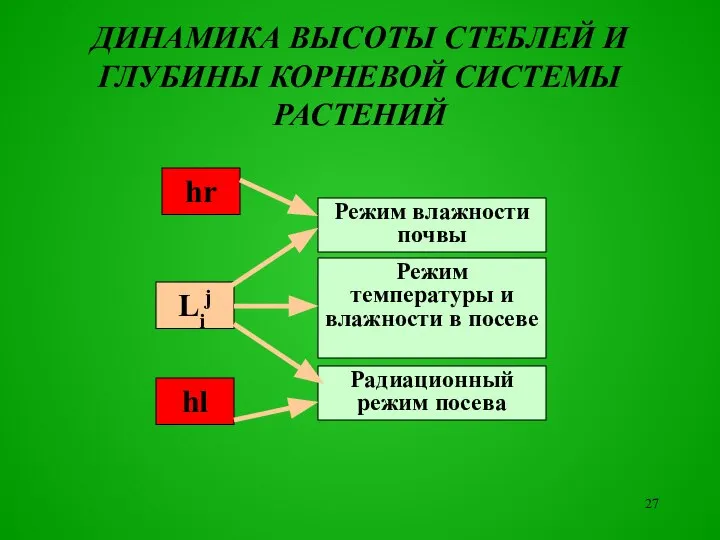 ДИНАМИКА ВЫСОТЫ СТЕБЛЕЙ И ГЛУБИНЫ КОРНЕВОЙ СИСТЕМЫ РАСТЕНИЙ Режим влажности почвы