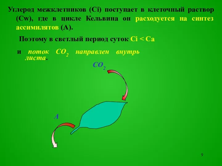 Поэтому в светлый период суток Ci