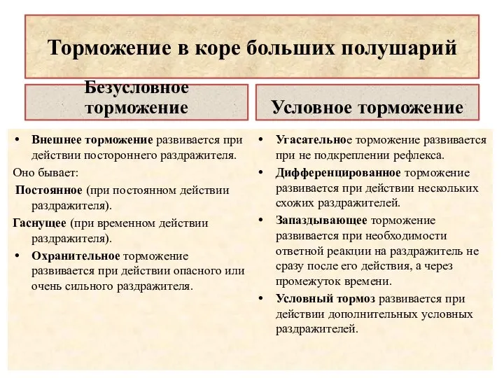 Торможение в коре больших полушарий Безусловное торможение Внешнее торможение развивается при