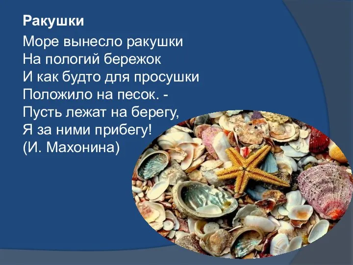 Ракушки Море вынесло ракушки На пологий бережок И как будто для