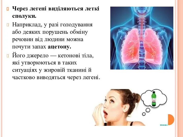 Через легені виділяються леткі сполуки. Наприклад, у разі голодування або деяких