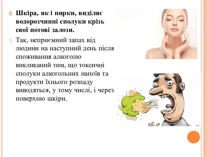 Шкіра, як і нирки, виділяє водорозчинні сполуки крізь свої потові залози.