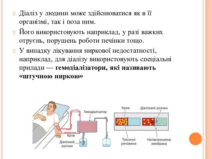 Діаліз у людини може здійснюватися як в її організмі, так і