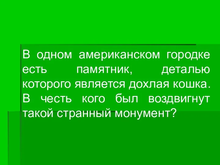 В одном американском городке есть памятник, деталью которого является дохлая кошка.