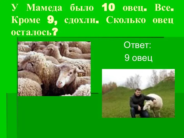 У Мамеда было 10 овец. Все. Кроме 9, сдохли. Сколько овец осталось? Ответ: 9 овец