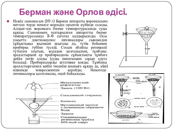 Берман және Орлов әдiсi. Нәжiс сынамасын (10 г) Берман аппараты воронкасына