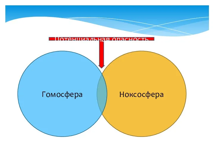 Ноксосфера Гомосфера Потенциальная опасность