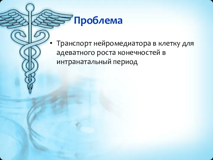 Проблема Транспорт нейромедиатора в клетку для адеватного роста конечностей в интранатальный период