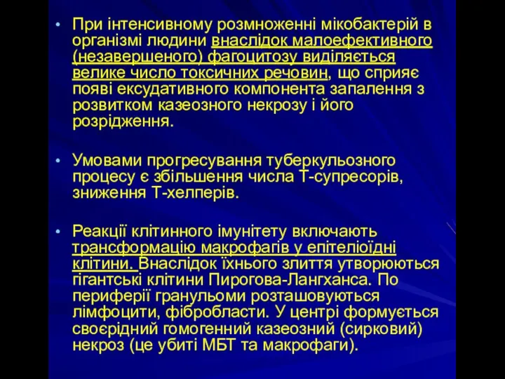 При інтенсивному розмноженні мікобактерій в організмі людини внаслідок малоефективного (незавершеного) фагоцитозу