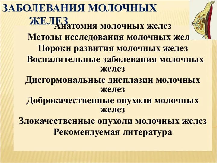 ЗАБОЛЕВАНИЯ МОЛОЧНЫХ ЖЕЛЕЗ Анатомия молочных желез Методы исследования молочных желез Пороки