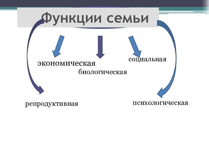 Функции семьи экономическая биологическая социальная репродуктивная психологическая