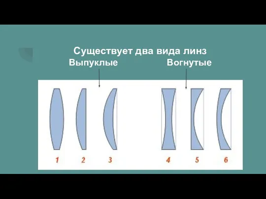 Существует два вида линз Выпуклые Вогнутые