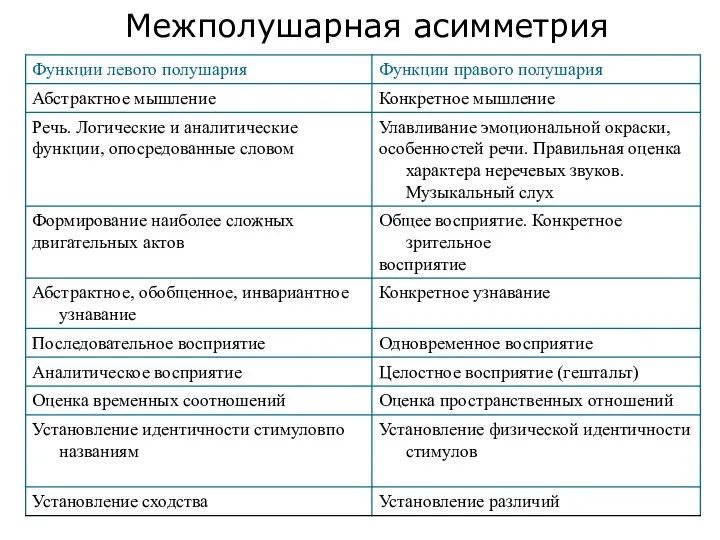 Межполушарная асимметрия