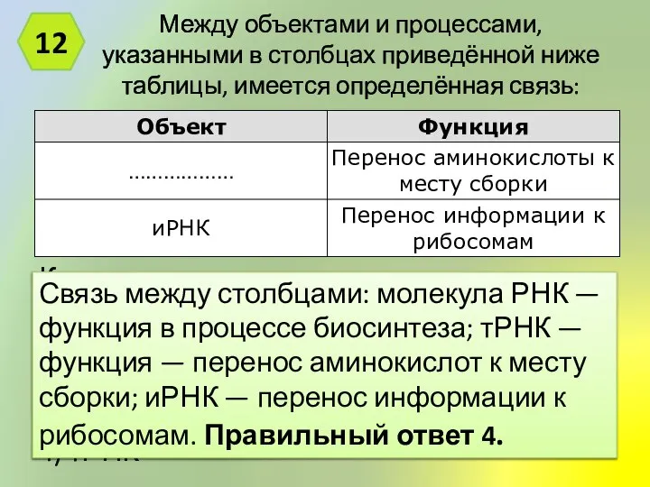 Между объектами и процессами, указанными в столбцах приведённой ниже таблицы, имеется