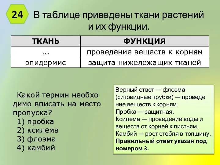 В таб­ли­це при­ве­де­ны ткани рас­те­ний и их функции. 24 Верный ответ