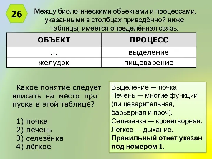 Между био­ло­ги­че­ски­ми объ­ек­та­ми и процессами, ука­зан­ны­ми в столб­цах приведённой ниже таблицы,