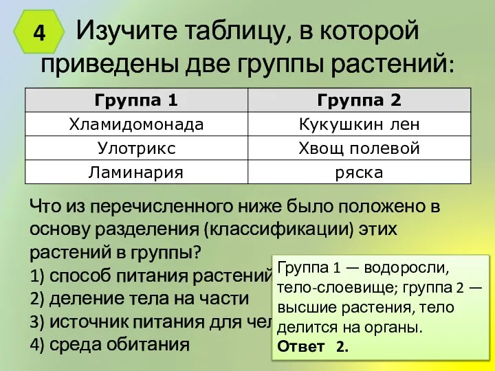 Изучите таблицу, в которой приведены две группы растений: 4 Что из