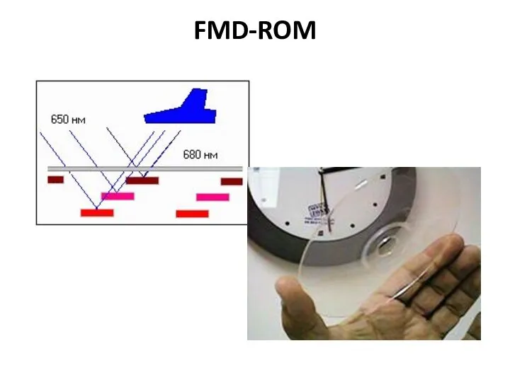 FMD-ROM