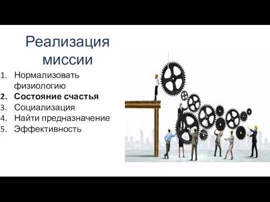 Реализация миссии Нормализовать физиологию Состояние счастья Социализация Найти предназначение Эффективность