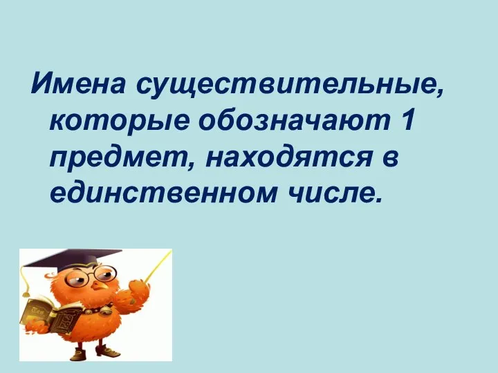 Имена существительные, которые обозначают 1 предмет, находятся в единственном числе.