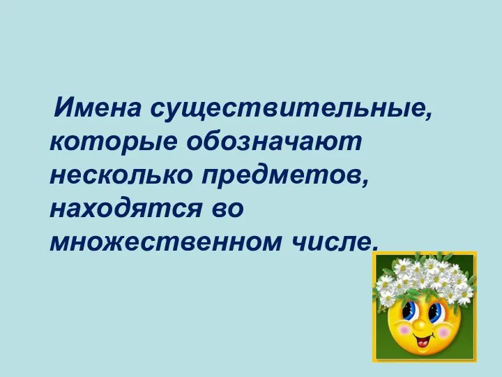 Имена существительные, которые обозначают несколько предметов, находятся во множественном числе.