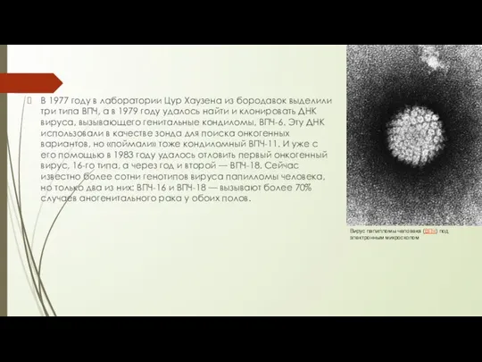 В 1977 году в лаборатории Цур Хаузена из бородавок выделили три