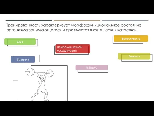 Тренированность характеризует морфофункциональное состояние организма занимающегося и про­является в физических качествах: