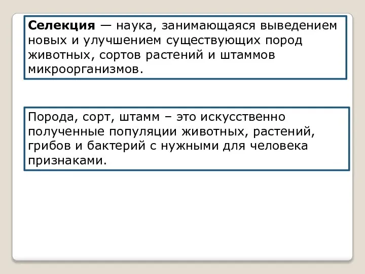 Селекция — наука, занимающаяся выведением новых и улучшением существующих пород животных,