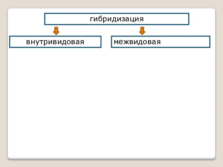 гибридизация внутривидовая межвидовая