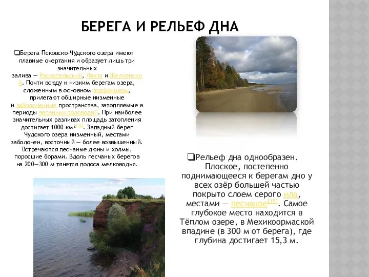 БЕРЕГА И РЕЛЬЕФ ДНА Берега Псковско-Чудского озера имеют плавные очертания и