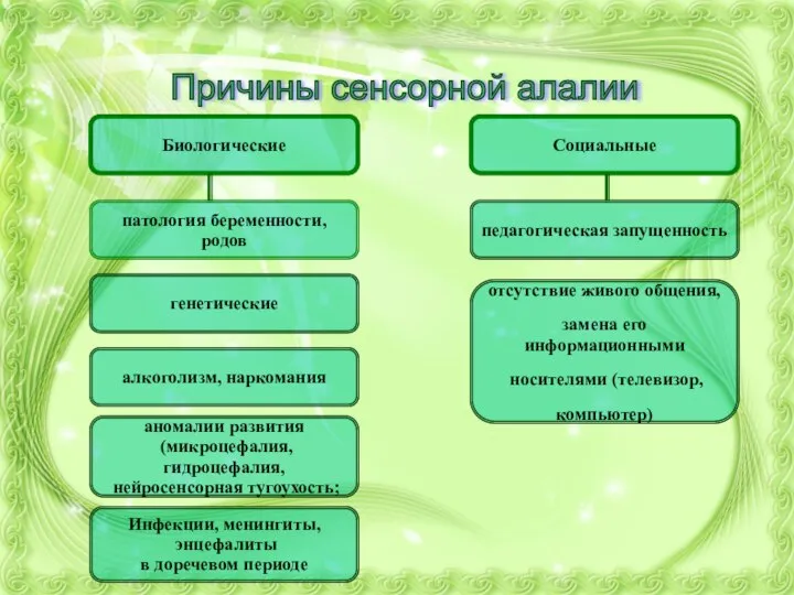 Биологические Социальные патология беременности, родов генетические алкоголизм, наркомания аномалии развития (микроцефалия,