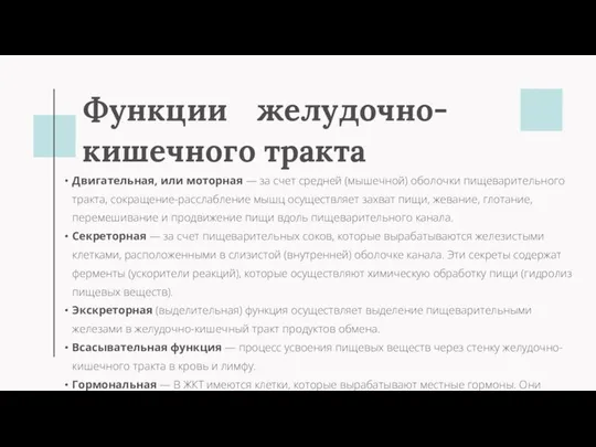 Функции желудочно-кишечного тракта Двигательная, или моторная — за счет средней (мышечной)