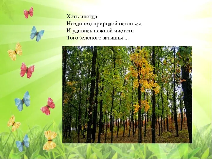 Хоть иногда Наедине с природой останься. И удивись нежной чистоте Того зеленого затишья ...