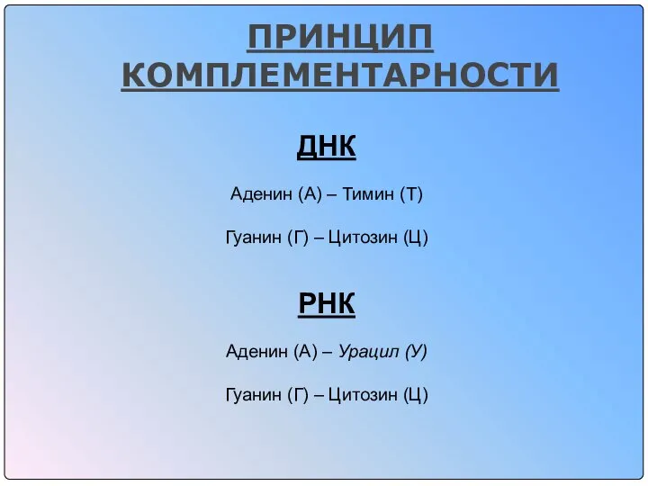 ПРИНЦИП КОМПЛЕМЕНТАРНОСТИ ДНК Аденин (А) – Тимин (Т) Гуанин (Г) –