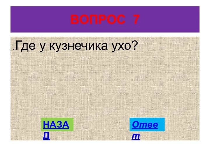 ВОПРОС 7 .Где у кузнечика ухо? НАЗАД Ответ