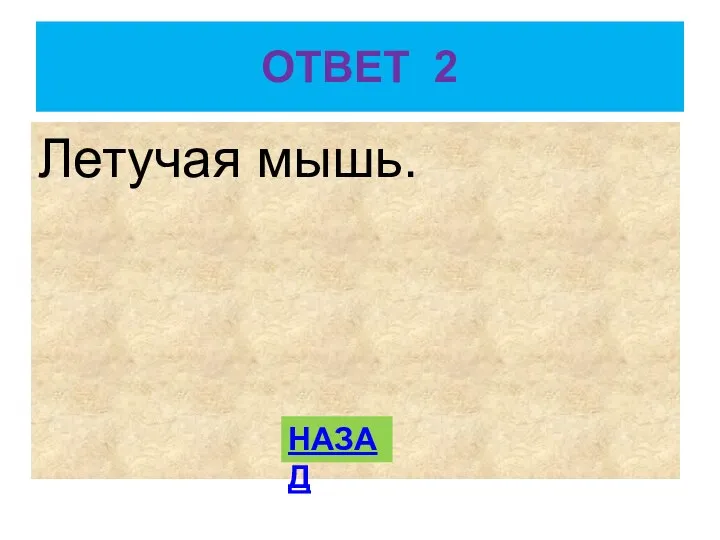 ОТВЕТ 2 Летучая мышь. НАЗАД