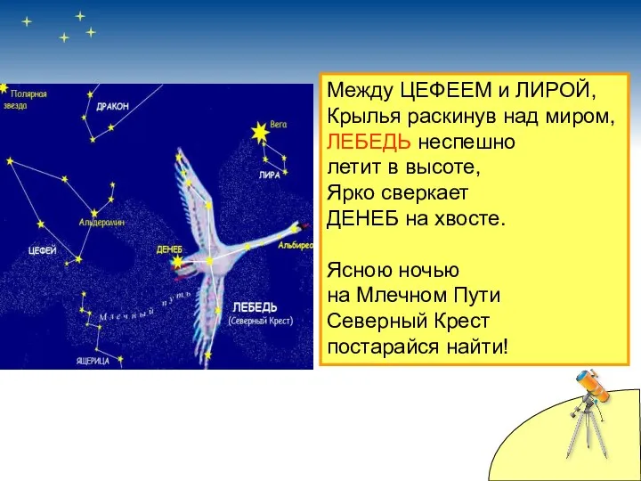 Между ЦЕФЕЕМ и ЛИРОЙ, Крылья раскинув над миром, ЛЕБЕДЬ неспешно летит