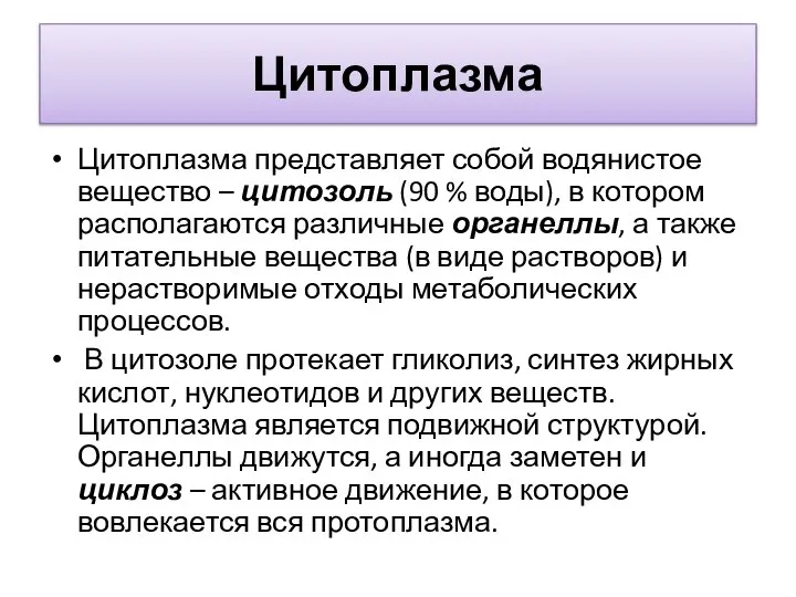 Цитоплазма Цитоплазма представляет собой водянистое вещество – цитозоль (90 % воды),