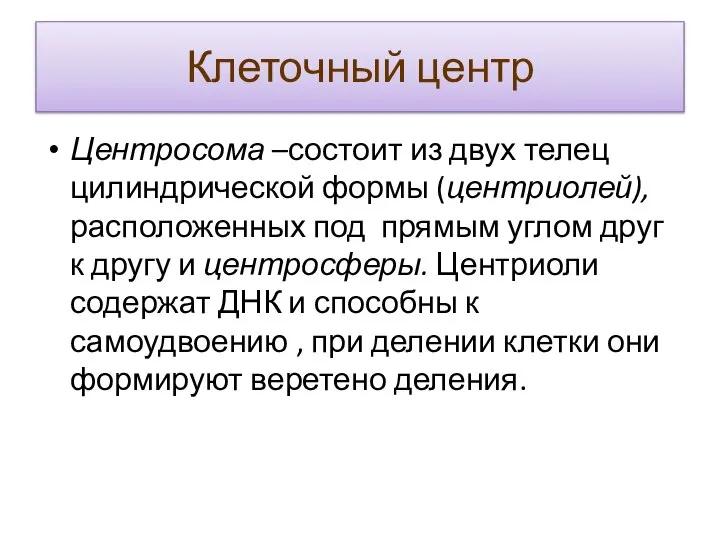 Клеточный центр Центросома –состоит из двух телец цилиндрической формы (центриолей), расположенных