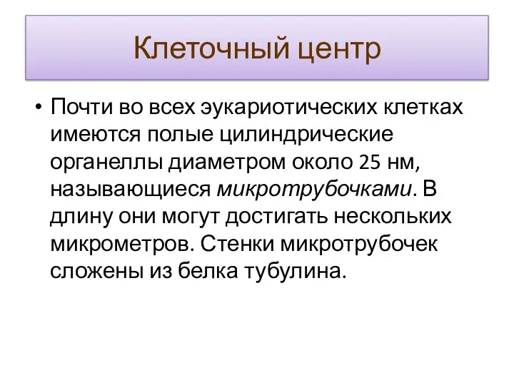 Клеточный центр Почти во всех эукариотических клетках имеются полые цилиндрические органеллы