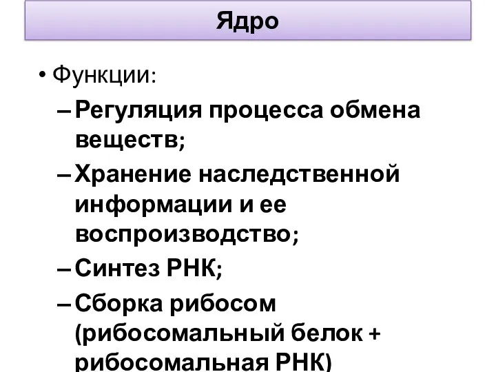 Функции: Регуляция процесса обмена веществ; Хранение наследственной информации и ее воспроизводство;