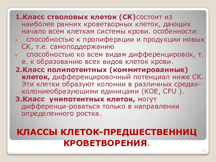 КЛАССЫ КЛЕТОК-ПРЕДШЕСТВЕННИЦ КРОВЕТВОРЕНИЯ. 1.Класс стволовых клеток (СК)состоит из наиболее ранних кроветворных