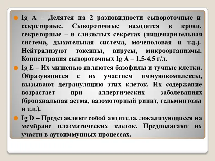 Ig А – Делятся на 2 разновидности сывороточные и секреторные. Сывороточные