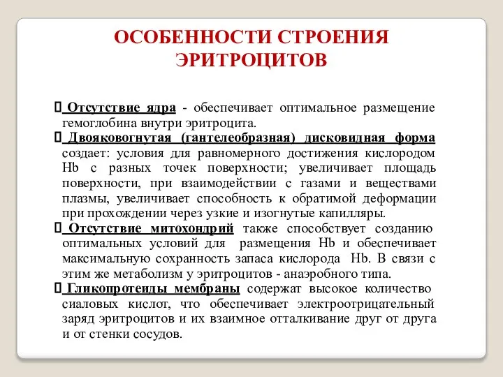 Отсутствие ядра - обеспечивает оптимальное размещение гемоглобина внутри эритроцита. Двояковогнутая (гантелеобразная)