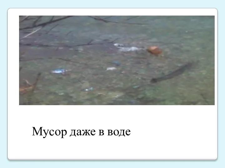 Мусор даже в воде