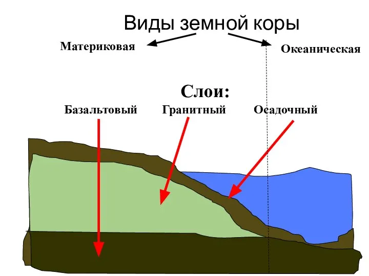 Виды земной коры Материковая Океаническая Слои: Базальтовый Гранитный Осадочный