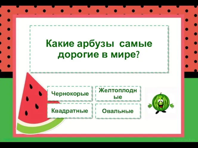 Какие арбузы самые дорогие в мире? Чернокорые Желтоплодные Квадратные Овальные